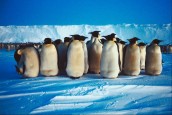 Post-penguin-link-building-strategy